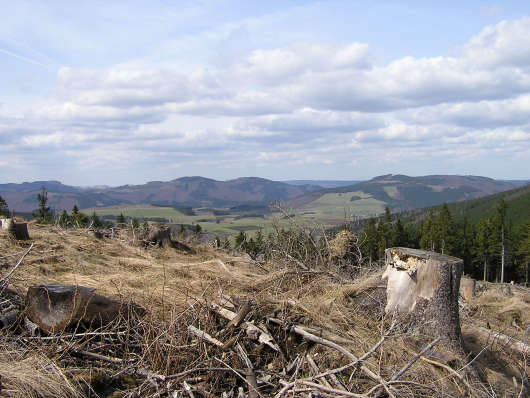 Verwüstete Flächen, die durch "Kyrill" entstanden, bieten heute sagenhafte Aussichtsmöglichkeiten. Hier der Blick in Richtung Westen.